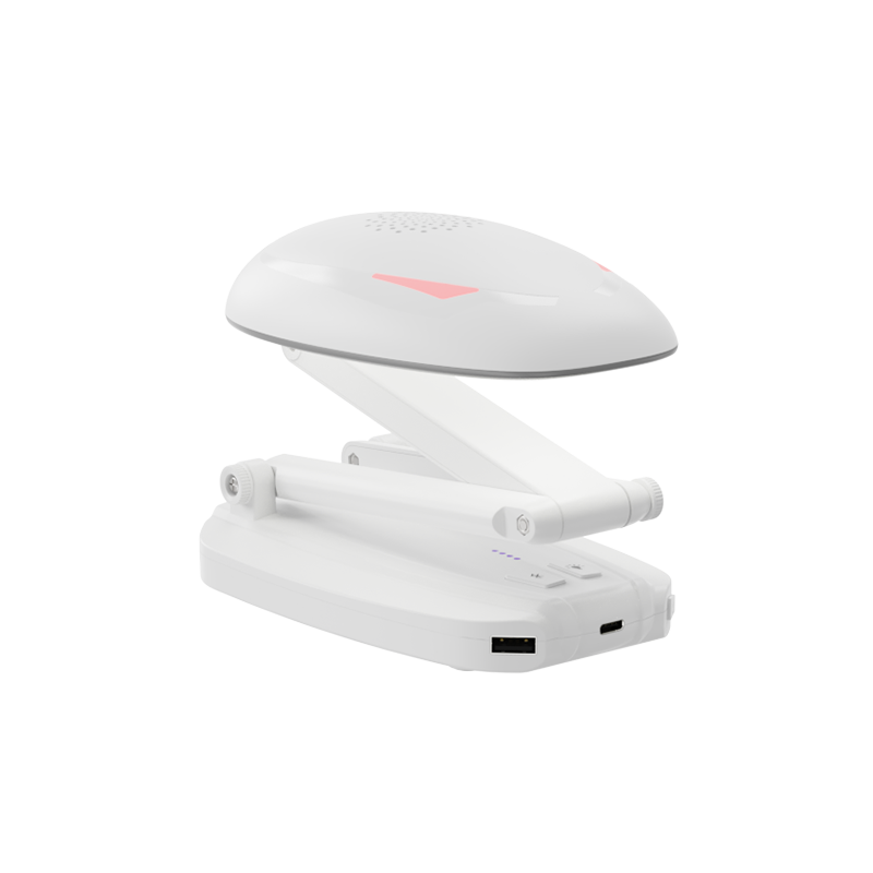 SS3